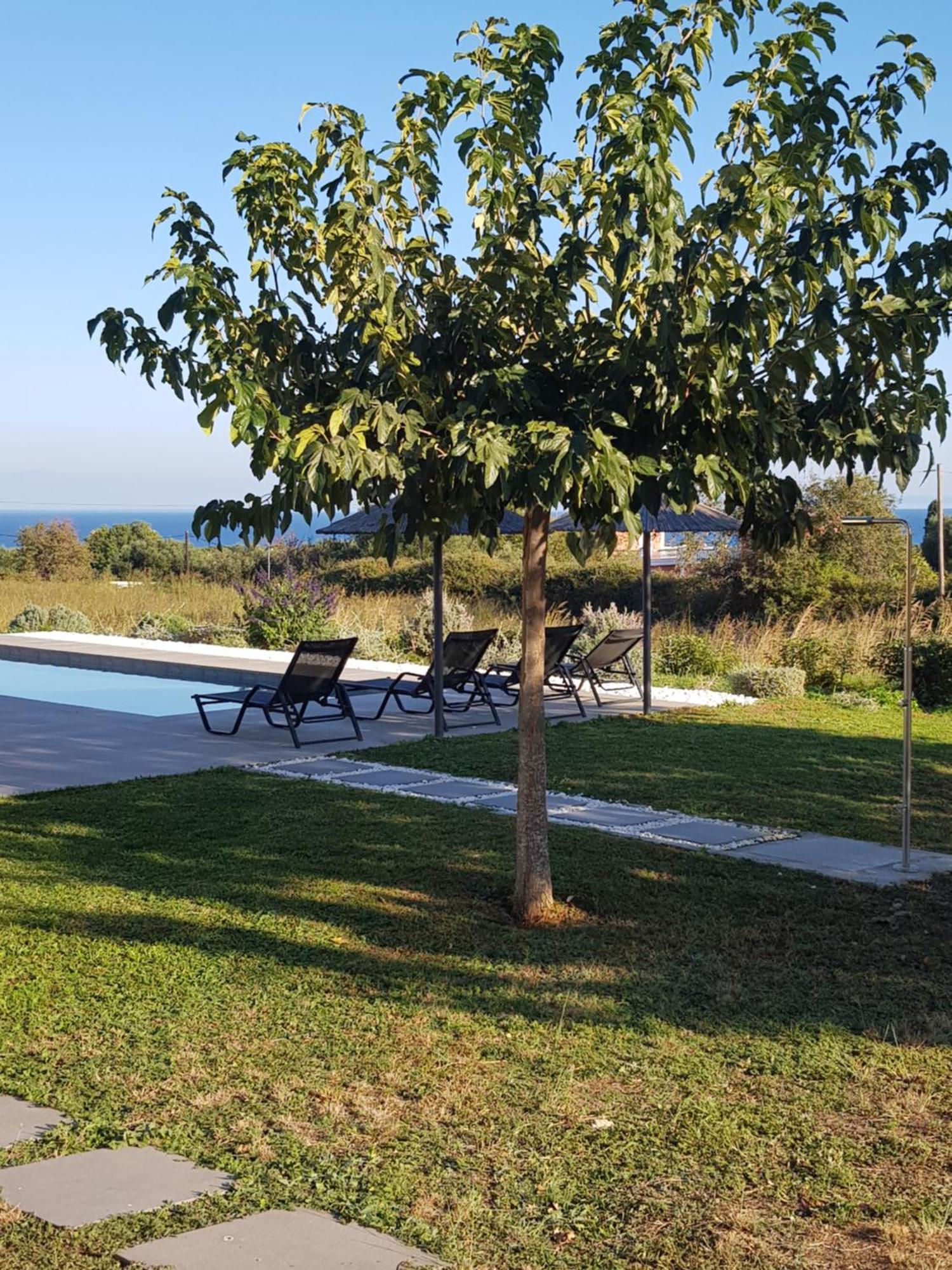 Alberi - Izla Homes Skala  Екстер'єр фото